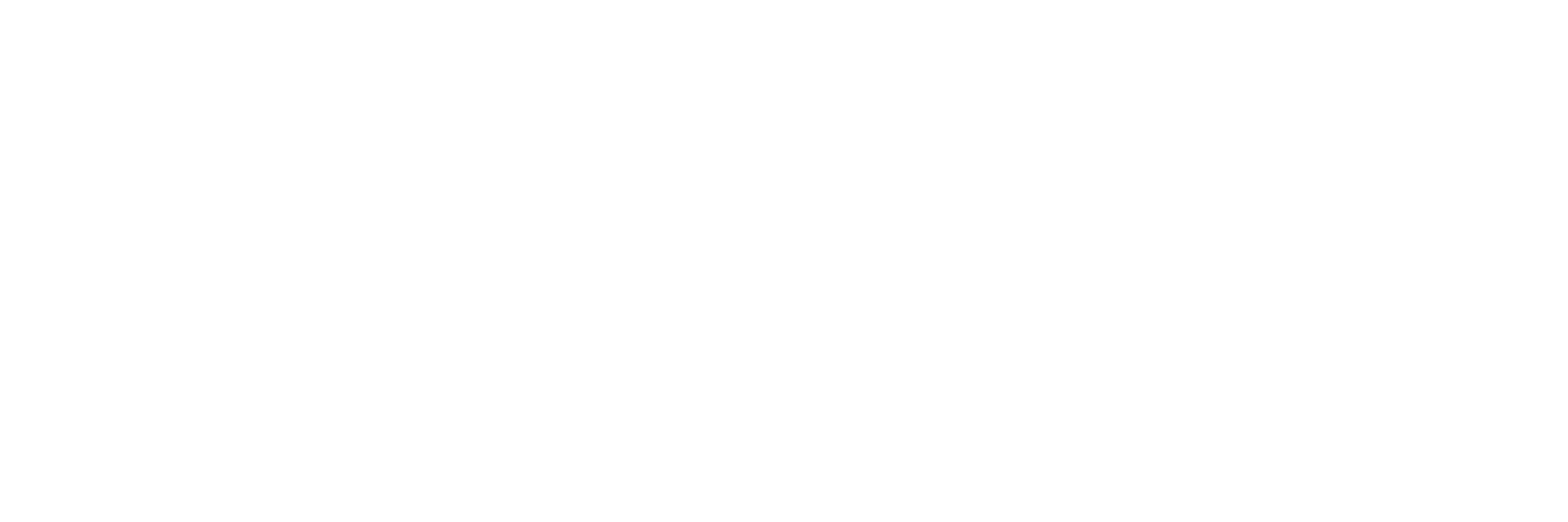 Digney York Associates